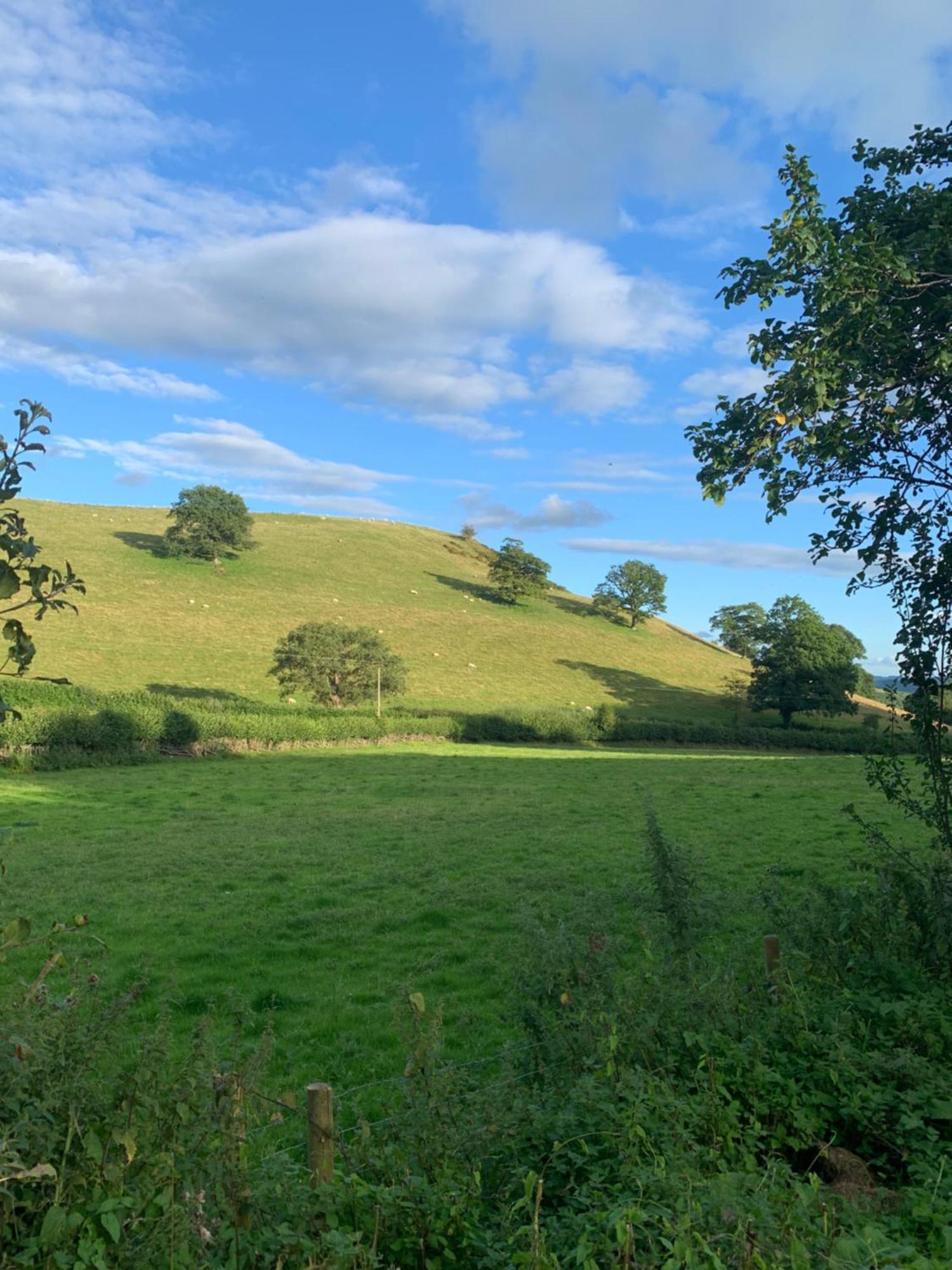 Pant-Y-Creolen Llanfyllin Exterior foto